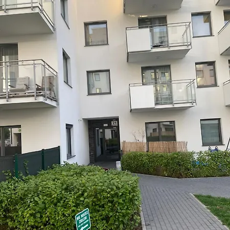 Apartment Grass 21